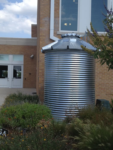 Rain Barrel
