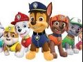 paw patrol