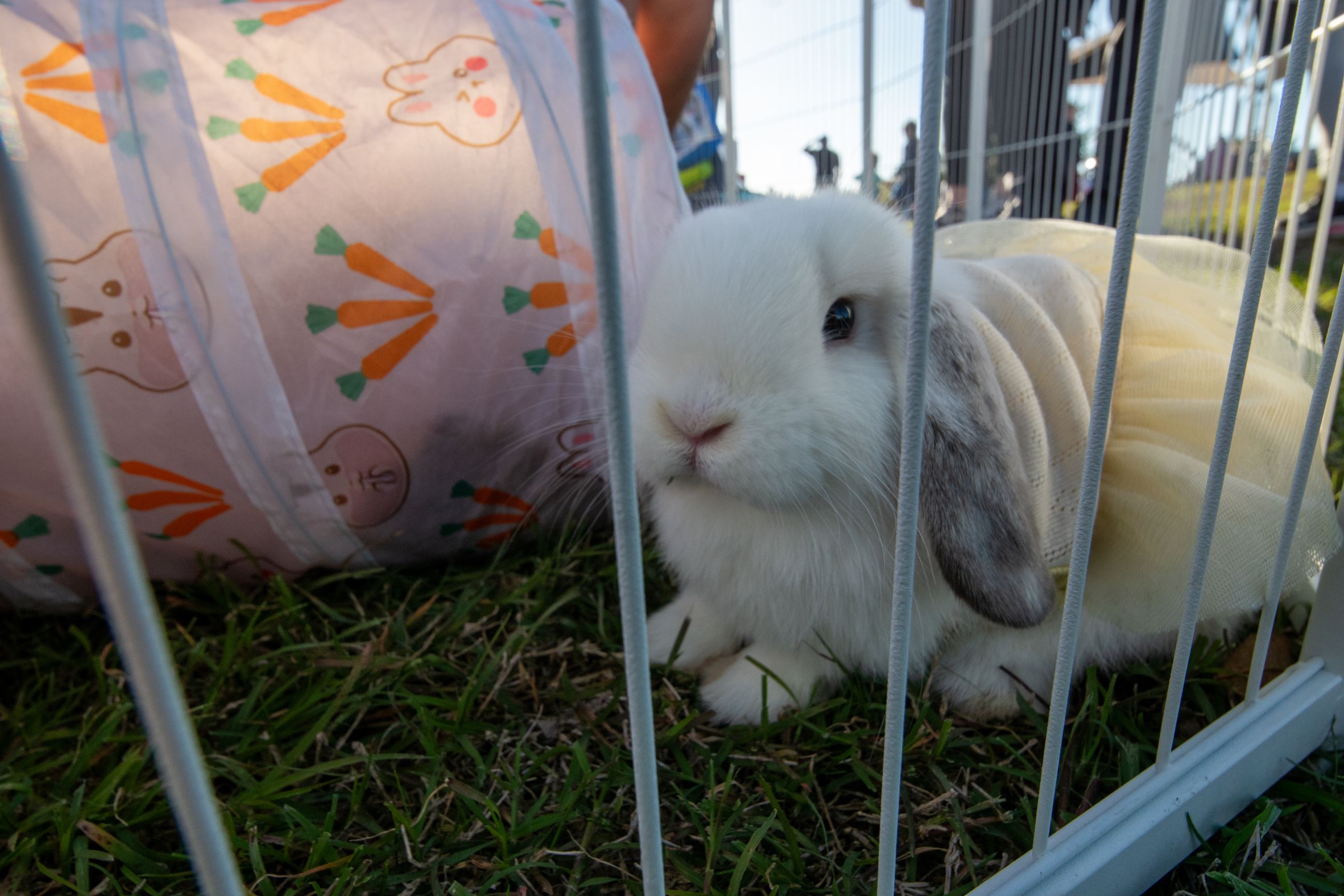 Easterpalooza 2024 (13 of 185)