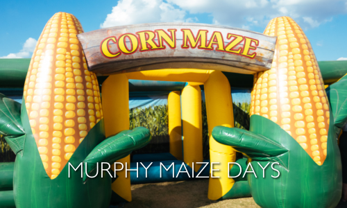 Maize Days (3)
